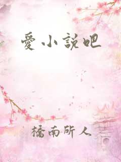 爱小说吧