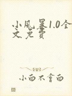小风暴1.0全文免费