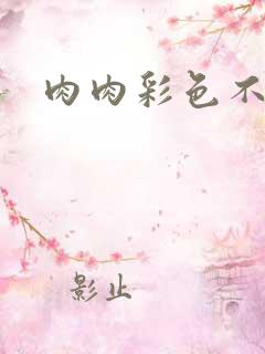 肉肉彩色不遮挡