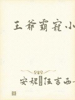 王爷霸宠小甜妻