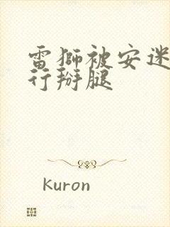 雷狮被安迷修强行掰腿