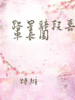 路星辞段嘉衍肉车长图