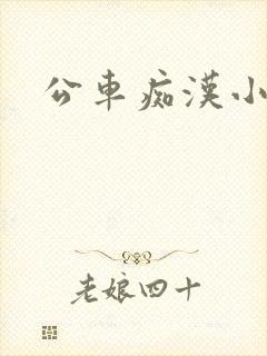 公车痴汉小说