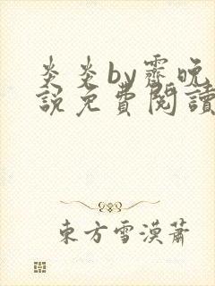 炎炎by霁晚小说免费阅读全文