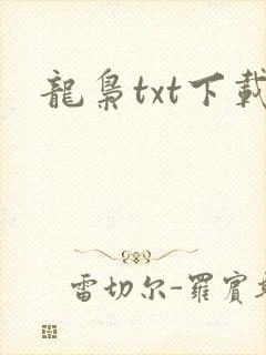 龙枭txt下载