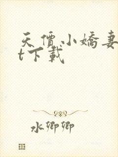 天价小娇妻txt下载