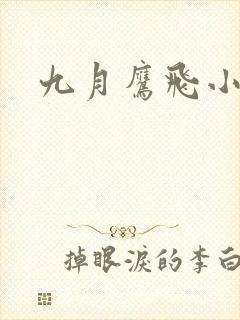 九月鹰飞小说