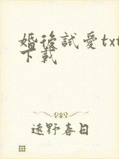 婚后试爱txt下载