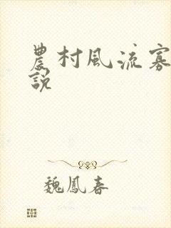 农村风流寡妇小说