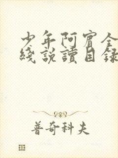 少年阿宾全文在线说读目录