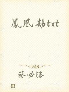 凤凰劫txt