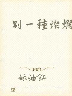 别一种灿烂生活