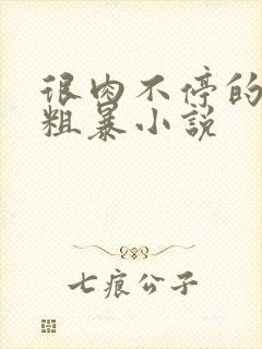 很肉不停的做很粗暴小说