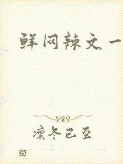 鲜网辣文一对一