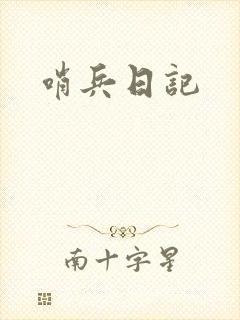 哨兵日记