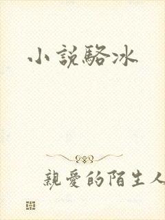小说骆冰