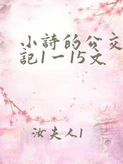 小诗的公交车日记1一15文