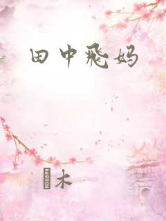 田中飞妈