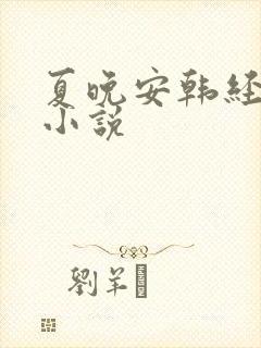 夏晚安韩经年的小说