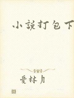 小说打包下载