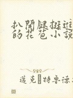 扒开腿挺进湿润的花苞小说