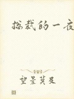 总裁的一夜情人