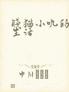 贱猫小叽的幸福生活