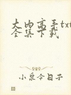 大内高手txt全集下载