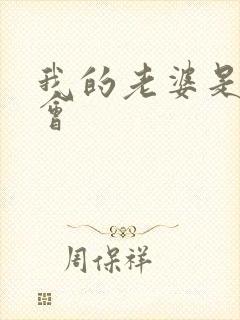 我的老婆是黑社会