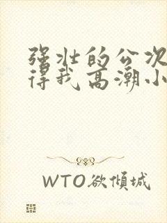 强壮的公次次弄得我高潮小说