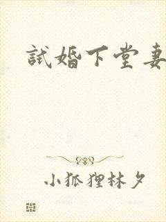 试婚下堂妻
