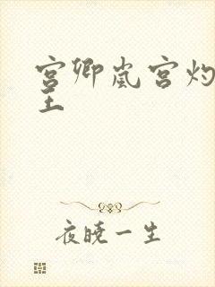 宫卿岚宫灼摄政王