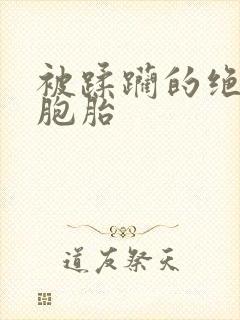 被蹂躏的绝色双胞胎