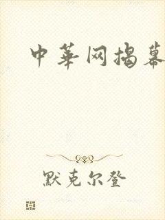 中华网揭幕内参