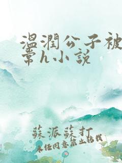 温润公子被脔日常h小说