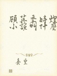 顾苒季时煜电竞小说叫什么名字