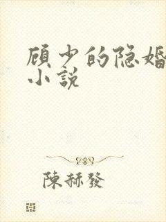 顾少的隐婚罪妻小说