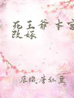 死王爷 本宫已改嫁