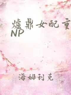 炉鼎女配重生之NP
