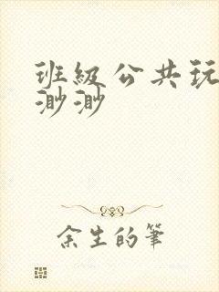 班级公共玩具叶渺渺