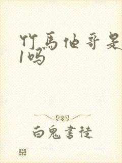 竹马他哥是1v1吗