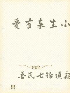 爱有来生小说
