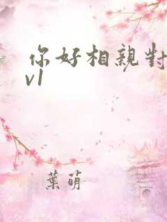 你好相亲对象1v1