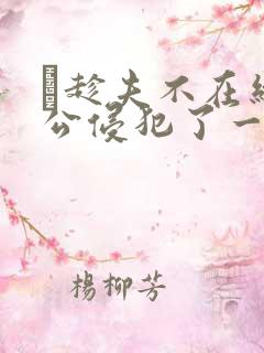 巜趁夫不在给给公侵犯了一天