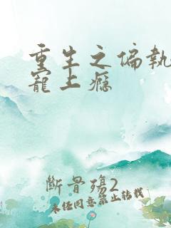 重生之偏执老公宠上瘾