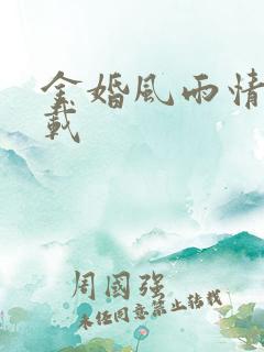 金婚风雨情 下载