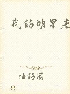 我的明星老豆