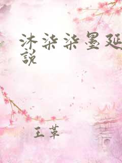 沐柒柒墨延爵小说