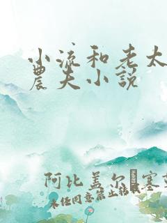 小流和老太69农夫小说