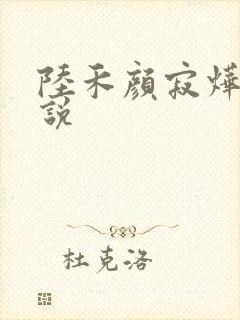 陆禾颜寂烨霖小说